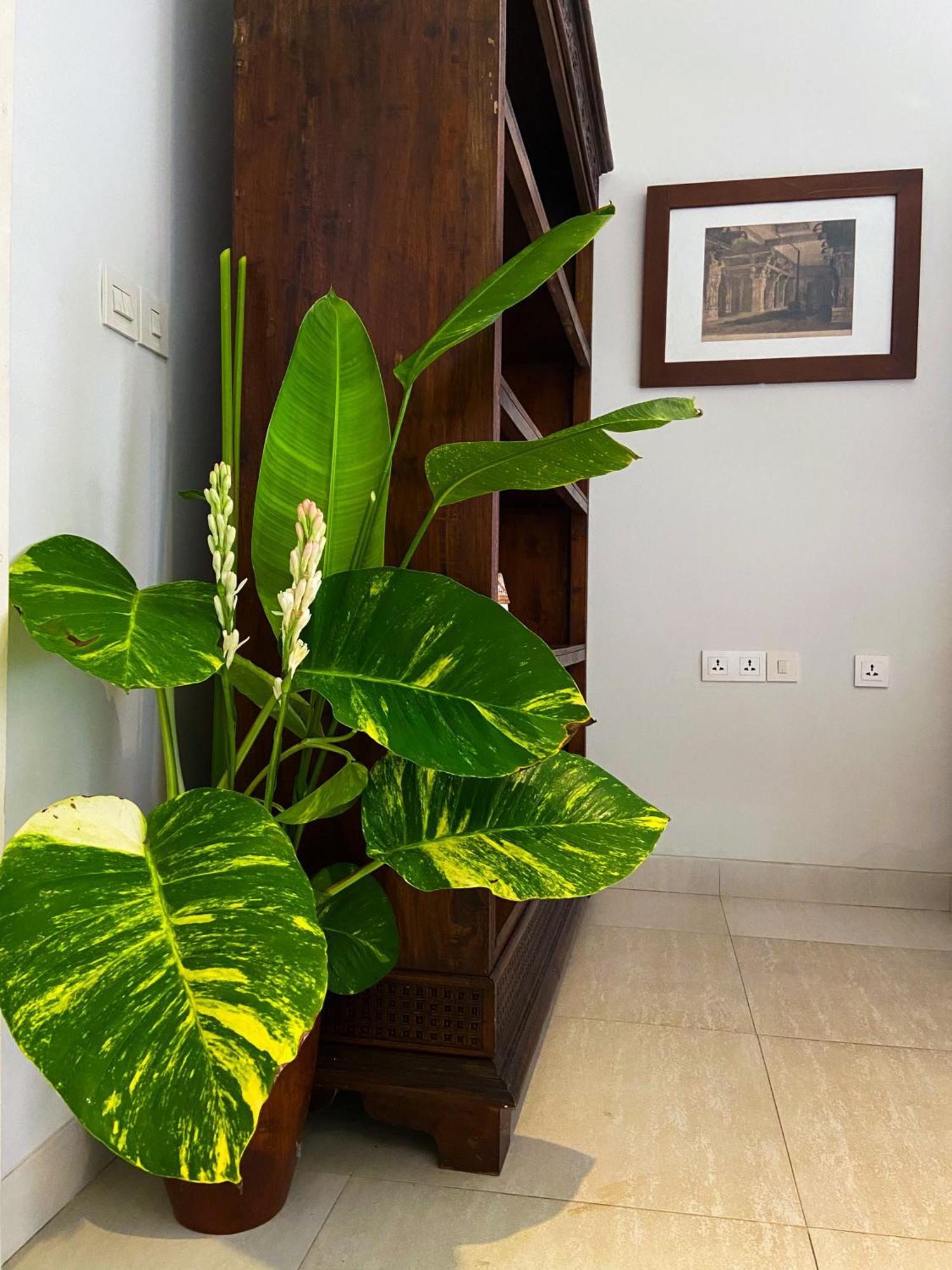 פדנגבאי Raaga Samudra Villa מראה חיצוני תמונה